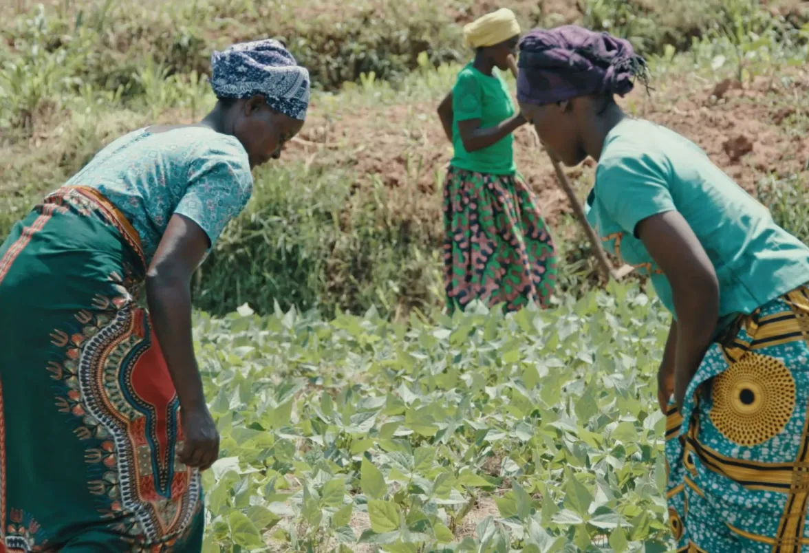 Women for Women Rwanda Women Empowerment Farming 