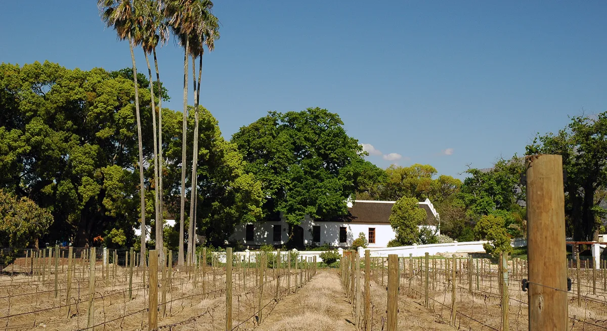 Cultivate House tree