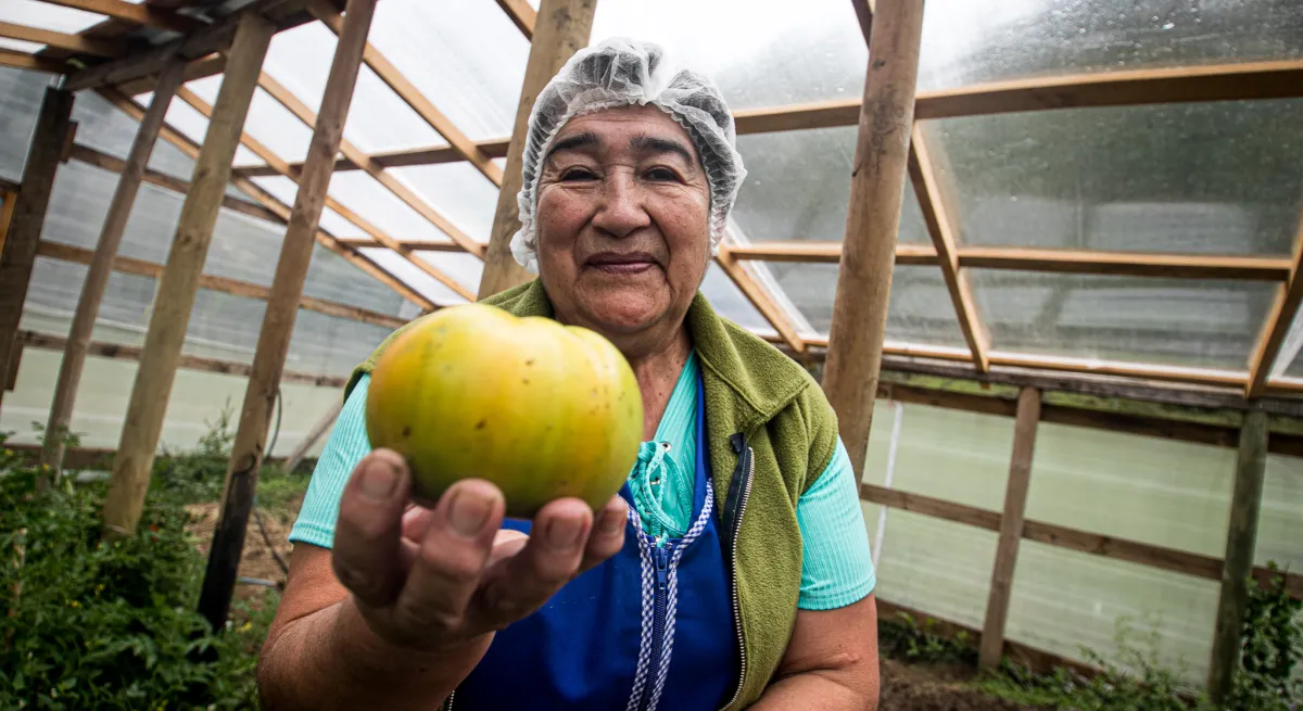 Balloon Latam Chile 2022 Farming and Gastronomy 2