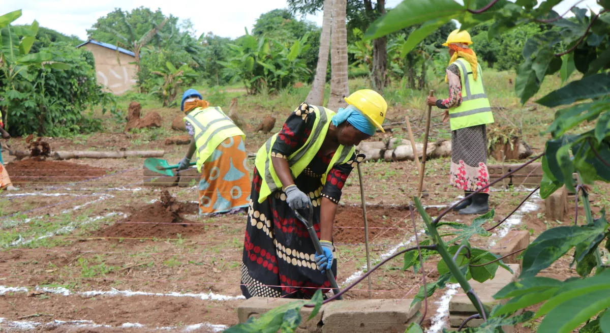 TAWAH Mhaga Women Tanzania - Building Houses