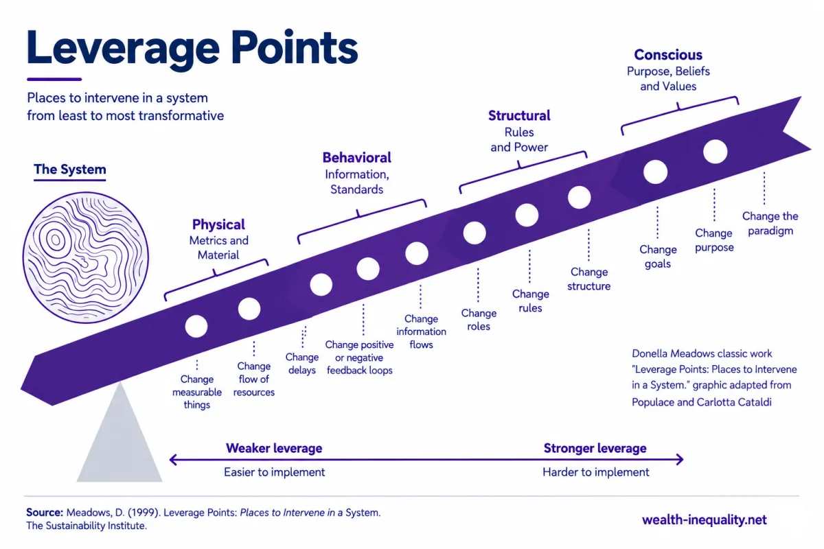 Leverage points_WII