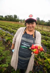 Balloon Latam Rural Farmers Chile_Strawberries